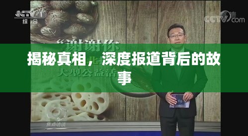 揭秘真相，深度報道背后的故事