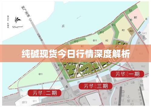 純堿現(xiàn)貨今日行情深度解析