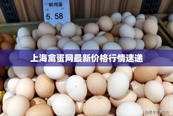 上海禽蛋網(wǎng)最新價格行情速遞