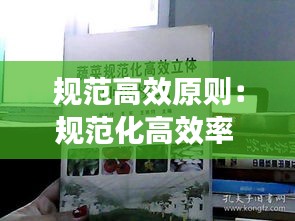 規(guī)范高效原則：規(guī)范化高效率 