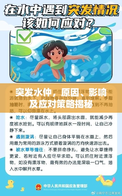 突發(fā)水仲，原因、影響及應(yīng)對策略揭秘