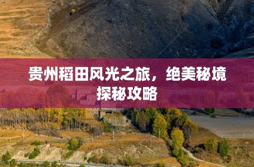 貴州稻田風(fēng)光之旅，絕美秘境探秘攻略