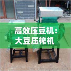 高效壓豆機(jī)：大豆壓榨機(jī) 