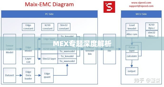 MEX專題深度解析