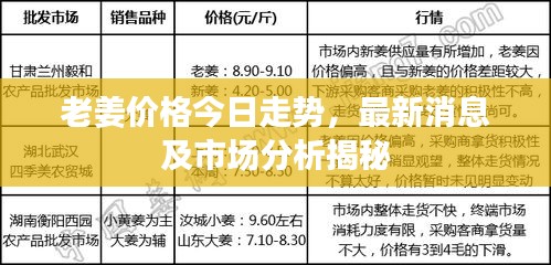 老姜價格今日走勢，最新消息及市場分析揭秘
