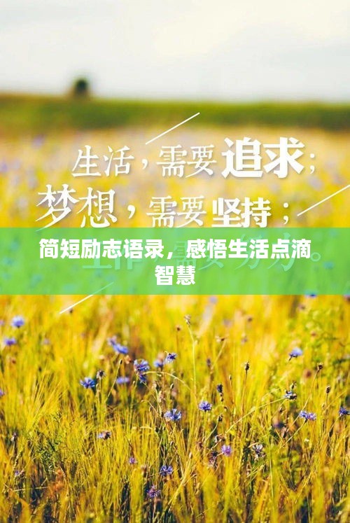 簡短勵志語錄，感悟生活點滴智慧