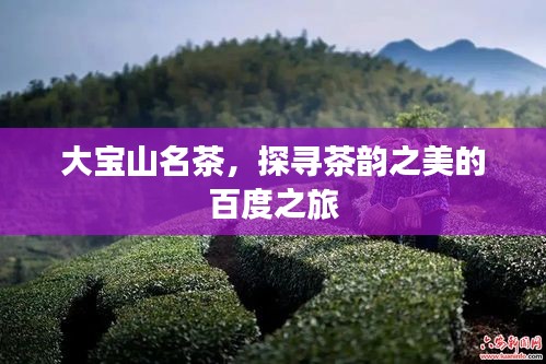 大寶山名茶，探尋茶韻之美的百度之旅