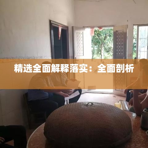 精選全面解釋落實：全面剖析 
