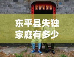 東平縣失獨家庭有多少：2020年失獨家庭有多少 