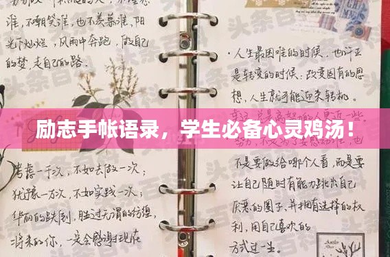 勵(lì)志手帳語(yǔ)錄，學(xué)生必備心靈雞湯！
