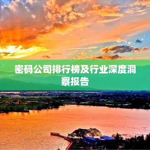 密碼公司排行榜及行業(yè)深度洞察報告