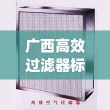 廣西高效過濾器標(biāo)準(zhǔn)揭秘，過濾效率與應(yīng)用廣泛影響！