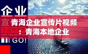 青海企業(yè)宣傳片視頻：青海本地企業(yè) 