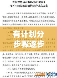 有計(jì)劃分步驟逐步落實(shí)：按照計(jì)劃落實(shí)工作 