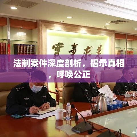 法制案件深度剖析，揭示真相，呼喚公正