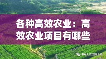 各種高效農(nóng)業(yè)：高效農(nóng)業(yè)項目有哪些 