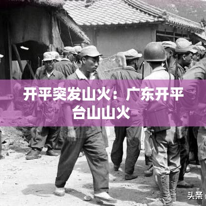 開平突發(fā)山火：廣東開平臺山山火 