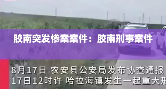 膠南突發(fā)慘案案件：膠南刑事案件 