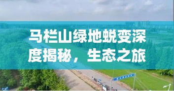 馬欄山綠地蛻變深度揭秘，生態(tài)之旅的驚人轉(zhuǎn)變之路