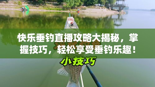 快樂垂釣直播攻略大揭秘，掌握技巧，輕松享受垂釣樂趣！