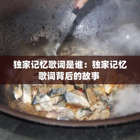 獨家記憶歌詞是誰：獨家記憶歌詞背后的故事 