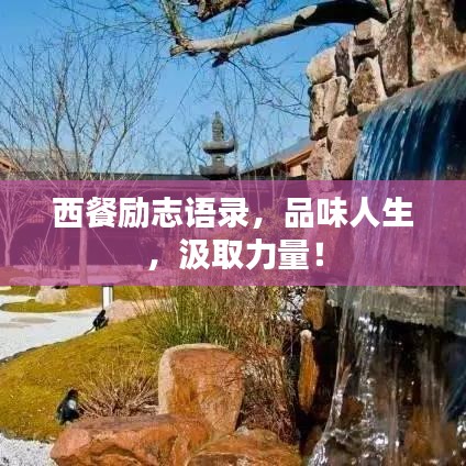 西餐勵志語錄，品味人生，汲取力量！