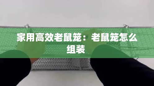 家用高效老鼠籠：老鼠籠怎么組裝 