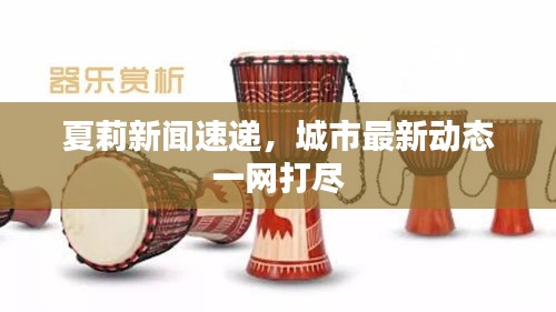夏莉新聞速遞，城市最新動(dòng)態(tài)一網(wǎng)打盡