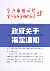政府關于落實通知：關于政府的通報 