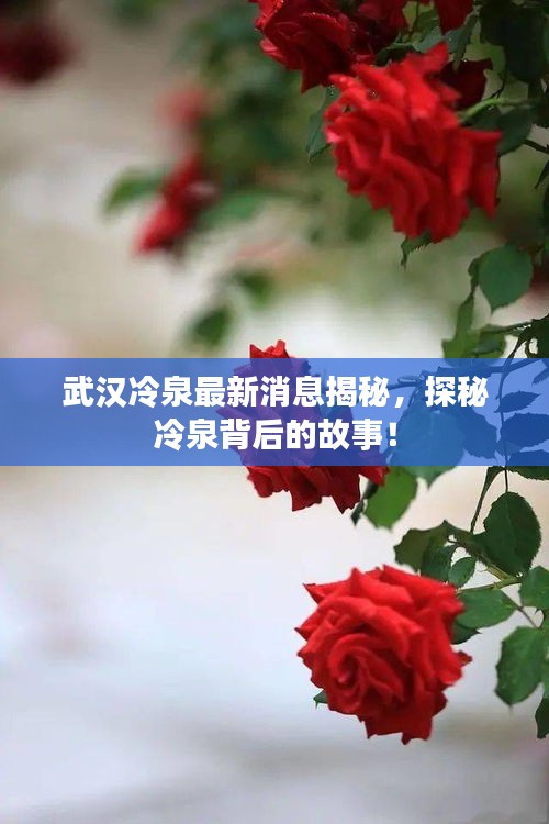 武漢冷泉最新消息揭秘，探秘冷泉背后的故事！