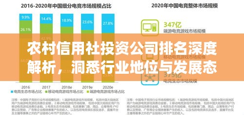農(nóng)村信用社投資公司排名深度解析，洞悉行業(yè)地位與發(fā)展態(tài)勢