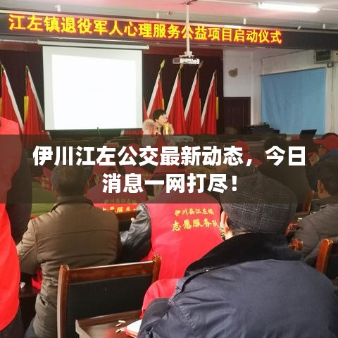 伊川江左公交最新動(dòng)態(tài)，今日消息一網(wǎng)打盡！