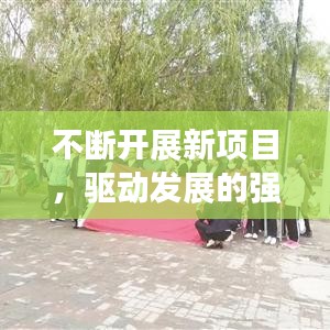 不斷開展新項目，驅(qū)動發(fā)展的強大引擎力量