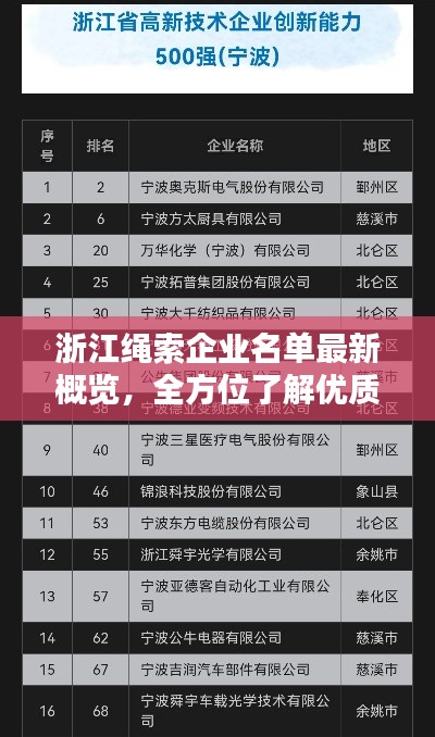 浙江繩索企業(yè)名單最新概覽，全方位了解優(yōu)質(zhì)企業(yè)名單
