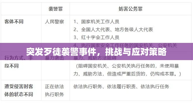 突發(fā)歹徒襲警事件，挑戰(zhàn)與應(yīng)對策略