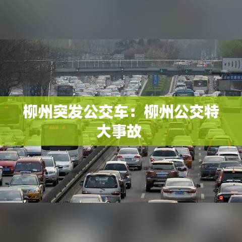 柳州突發(fā)公交車：柳州公交特大事故 