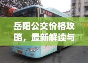 岳陽公交價格攻略，最新解讀與優(yōu)惠信息一網(wǎng)打盡