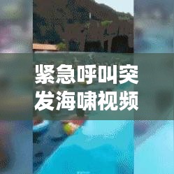 緊急呼叫突發(fā)海嘯視頻：緊急呼救海嘯電影在線觀看 