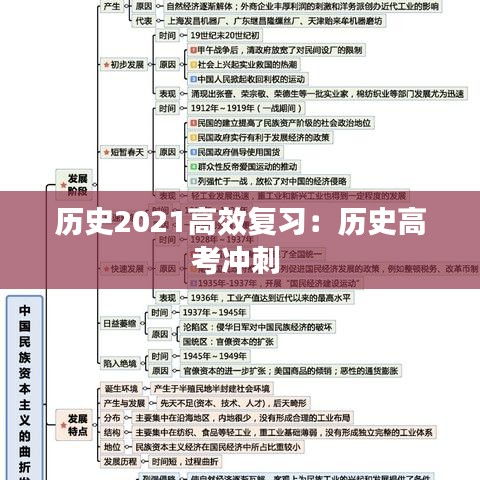 歷史2021高效復(fù)習(xí)：歷史高考沖刺 