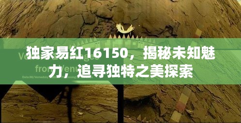獨家易紅16150，揭秘未知魅力，追尋獨特之美探索
