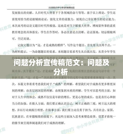 問題分析宣傳稿范文：問題及分析 