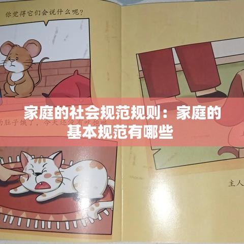 家庭的社會(huì)規(guī)范規(guī)則：家庭的基本規(guī)范有哪些 