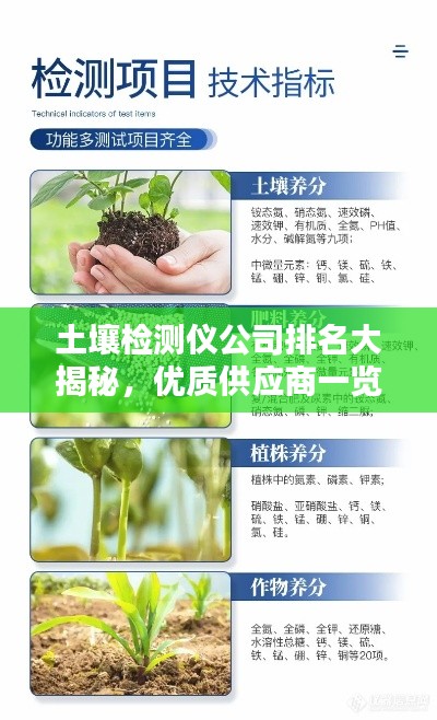 筆走如飛 第3頁(yè)
