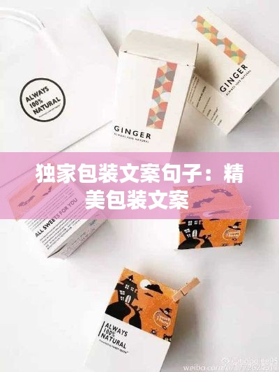 獨(dú)家包裝文案句子：精美包裝文案 