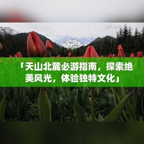 「天山北麓必游指南，探索絕美風(fēng)光，體驗(yàn)獨(dú)特文化」