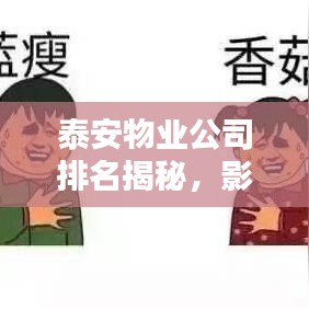 泰安物業(yè)公司排名揭秘，影響力與服務質量一覽
