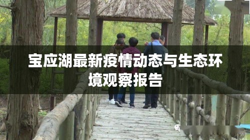 寶應湖最新疫情動態(tài)與生態(tài)環(huán)境觀察報告