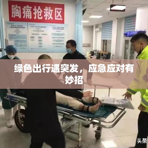 綠色出行遇突發(fā)，應(yīng)急應(yīng)對有妙招