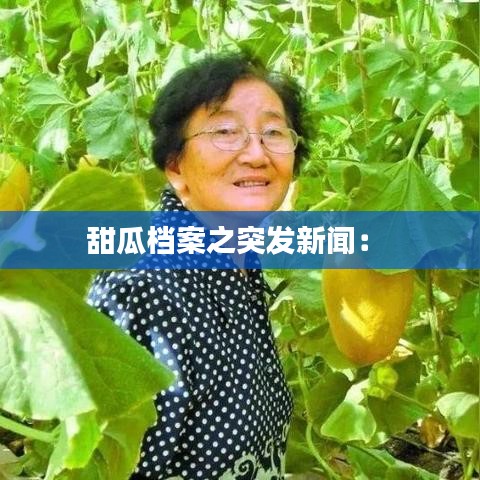 甜瓜檔案之突發(fā)新聞： 