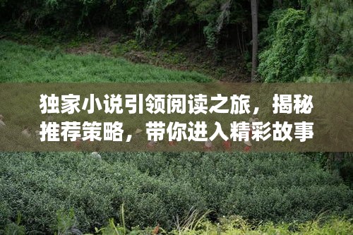 獨家小說引領閱讀之旅，揭秘推薦策略，帶你進入精彩故事世界